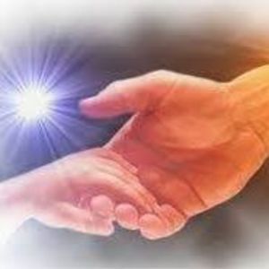 Meet your Posher, Mirna